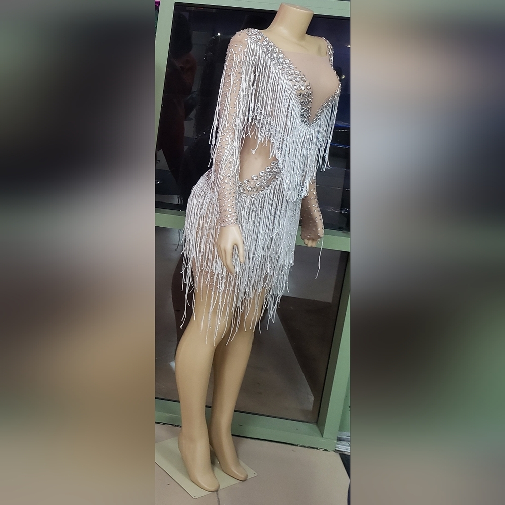 Unique Rare Size Large Ice Me Out Bling Birthday Silver Rhinestone Fringe Dress - Picture 7 of 11